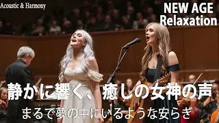 【最高音質】心にそっと寄り添うメロディー / 癒し / Relax / 作業用 / 洋楽 / Cozy Chill