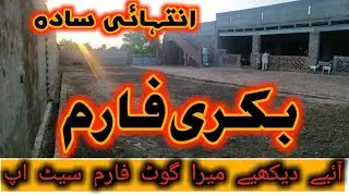Goat Farm Shed l Simple Shed for Goats l Rani Goat Farming