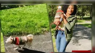 Vlog👉🏿walking my dog new video 2021