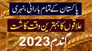 Wheat Farming In Pakistan | wheat season in pakistan | Sowing Time of Wheat in Pakistan ||
