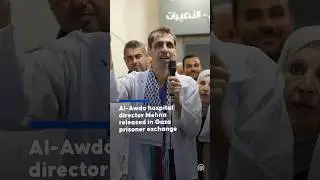 Al-Awda hospital director Mehna released in Gaza prisoner exchange