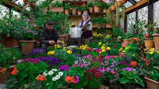 Весна Пришла - Посадили Много Весенних Цветов
