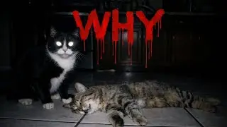 It Wasn&rsquo;t Just a Cat&hellip; | TRUE HORROR STORY