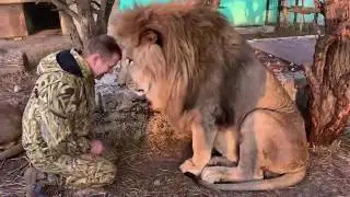 We walk as lions: Oleg Zubkov The Lion's Dad. Lion Man.