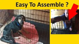 Best Budget Dog Crate (Pet Kennel) ? - FDW (Review/Test/Instructions) Easy To Assemble? How To Use