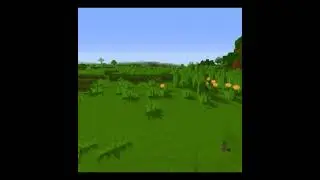 Minecraft but it's 64bit #shorts