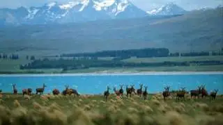 Photos of New Zealand