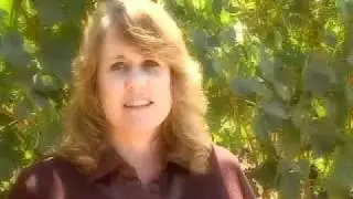 Video Production for Winery in Napa Valley, California