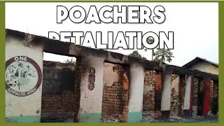 Poachers burn down our partner's offices. Learn more about our partnership  with APPACOL.