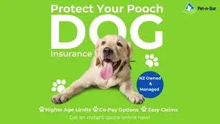 Protect your pooch with Pet-n-Sur
