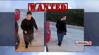 Delhi Township police looking for man accused of breaking into cars