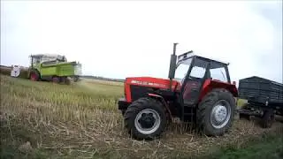 Koszenie rzepaku 2019/ CLAAS MEGA 350/ URSUS 1014