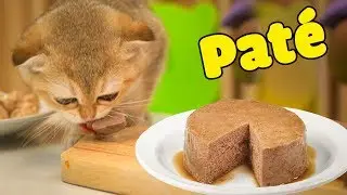 First time making pate for cat (The Happy Pets #17)