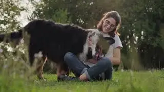 Summer Pet Safety Tips: Keep Your Pets Cool And Healthy