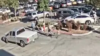 Vehicle vs Pedestrian Felony Hit and Run   NR18297ti