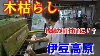 【伊豆高原ストリートピアノ】木枯らしを弾いたら聴衆の視線が釘付けに！！(etude Op25-11)