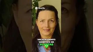 Paredes Verdes  Dicas Incr&iacute;veis da Professora Vivian Lages!