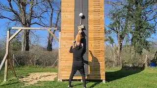 AMERICAN STAFF - SPORT #2 (wall climb / high jump / palissade)