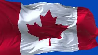 🚩Canada Flag Waving  | GREEN SCREEN & CHROMA MATTE🚩