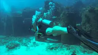 Bahamas   Sunday Dive SD