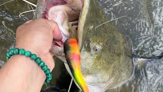 Fishing in Richmond va