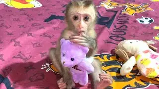 So sleepy!! Smart baby LIORA hugs her doll and falls asleep after drinking Milk