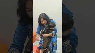 Wedding Anniversary..Part 2👩‍❤️‍👨 #anniversary #celebration #cake #vlog #enjoy 