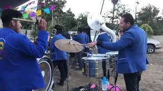 Hermoso cariño banda amigos a viento