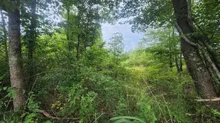 1 Freedom Road, Branchville, SC Presented by Brandon Ray.