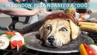 Londoners Were Offered Dog Meat &ndash; This Is How They Reacted