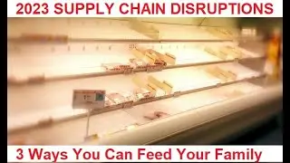 SHTF SURVIVAL 2023 - Three Ways To Feed Your Family Post Collapse