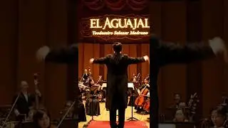 EL AGUAJAL en una versi&oacute;n sinf&oacute;nica 🇨🇳 