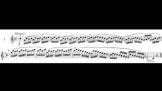 Marcel Moyse,100 EASY AND progressive Studies After Cramer , for the flute NO 1