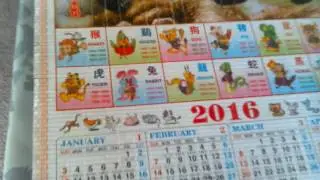 Chinese 2016 calendar!