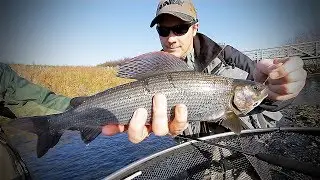 GRAYLING◼️CALDER // England team member Paul Fairhurst & Tom fish the ZERO