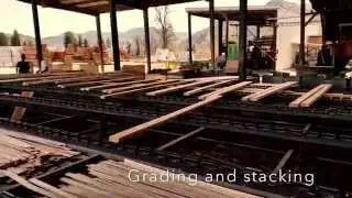 A log from Barriere, B.C. to a 2x4 in Manotick Station, Ontario