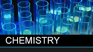 Environment and Its Components