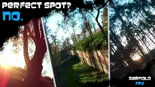 Tree inspection | FPV freestyle