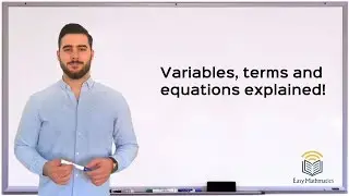 Variables, Terms and Equations explained!