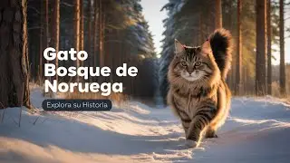Gato Bosque de Noruega: Entre Leyenda y Realidad del Skogkatt