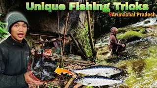 Mountain Unique Fishing Tricks🏞️|| I got 45+ Fish in the river😱