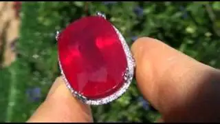 HUGE 35.16 Carat Pigeons Blood Red Ruby & Diamond Cocktail Ring - 88 Diamonds Sold Gold