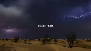 Kamila Jankowska - DESERT NIGHT