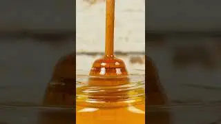 High station honey farm 🍯