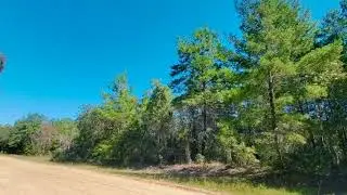 For Sale: N/N MICHAEL AVE, INTERLACHEN, FL 32148