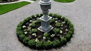 How to Plant Annuals Around Tulips!