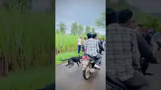 || DOG RACE KOLHAPUR ||👑 DOG RACE MAHARASHTRA #shorts #arfyads