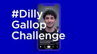Case | DillySocks | #DillyGallopChallenge
