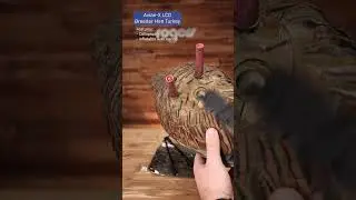 Turkey Decoy Comparison (Part 3) #shorts #turkey #decoy #hunting #turkeyhunting