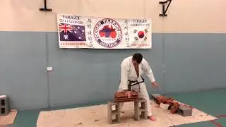 Shayne McLaren Toogee Taekwondo Palm-heal to 4 roof tlies.
